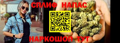 гашик Донецк