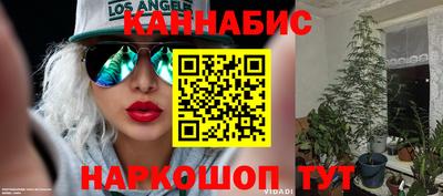 спиды Донской