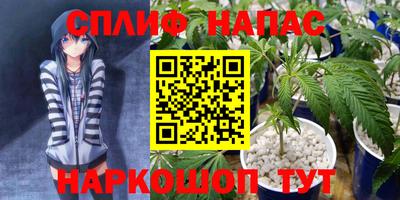 гашик Донецк