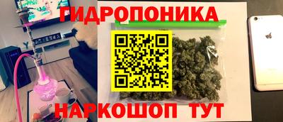 jwh Дубна