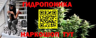 гашик Донецк