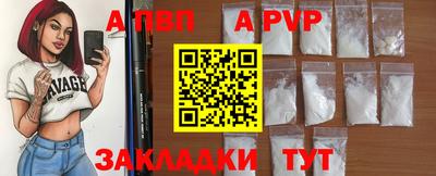 спиды Донской