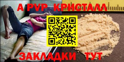 спиды Донской