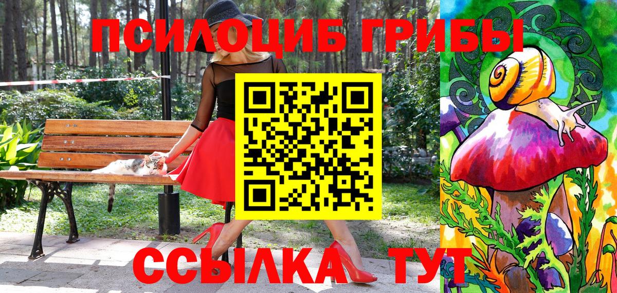 Галлюциногенные грибы Psilocybine cubensis Наро-Фоминск