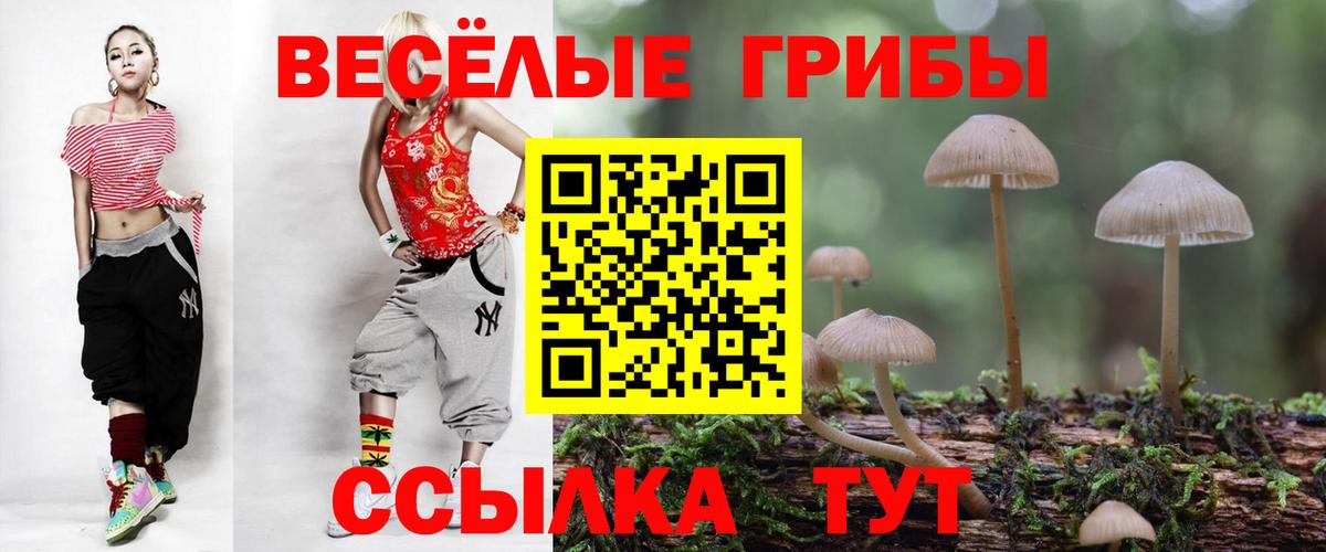 Наро-Фоминск  где купить наркоту  Вход с VPN  Псилоцибиновые грибы MAGIC MUSHROOMS  Галлюциногенные грибы ЛСД 